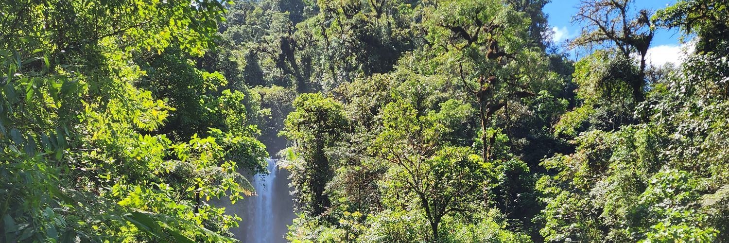 steef (🔨⏰️) banner