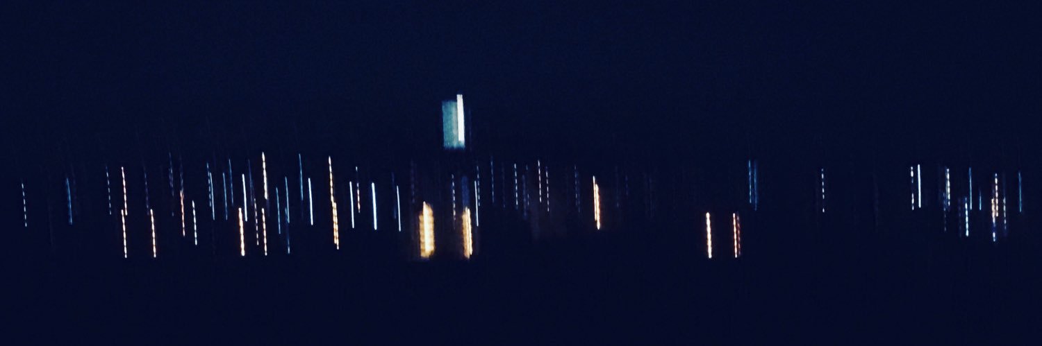 vpechman's profile banner image