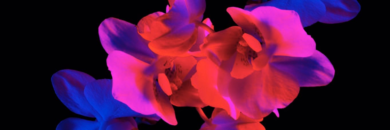 _KingRodney's profile banner image