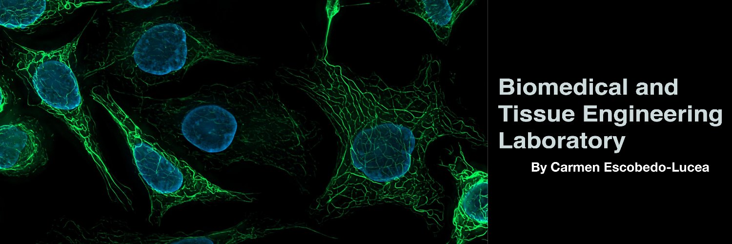 bte_lab's profile banner image