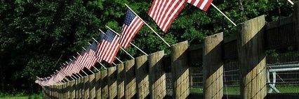 Carolyn Paiva banner