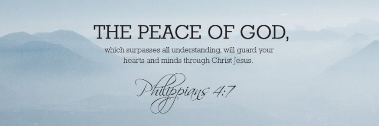 Priscilla Davila banner