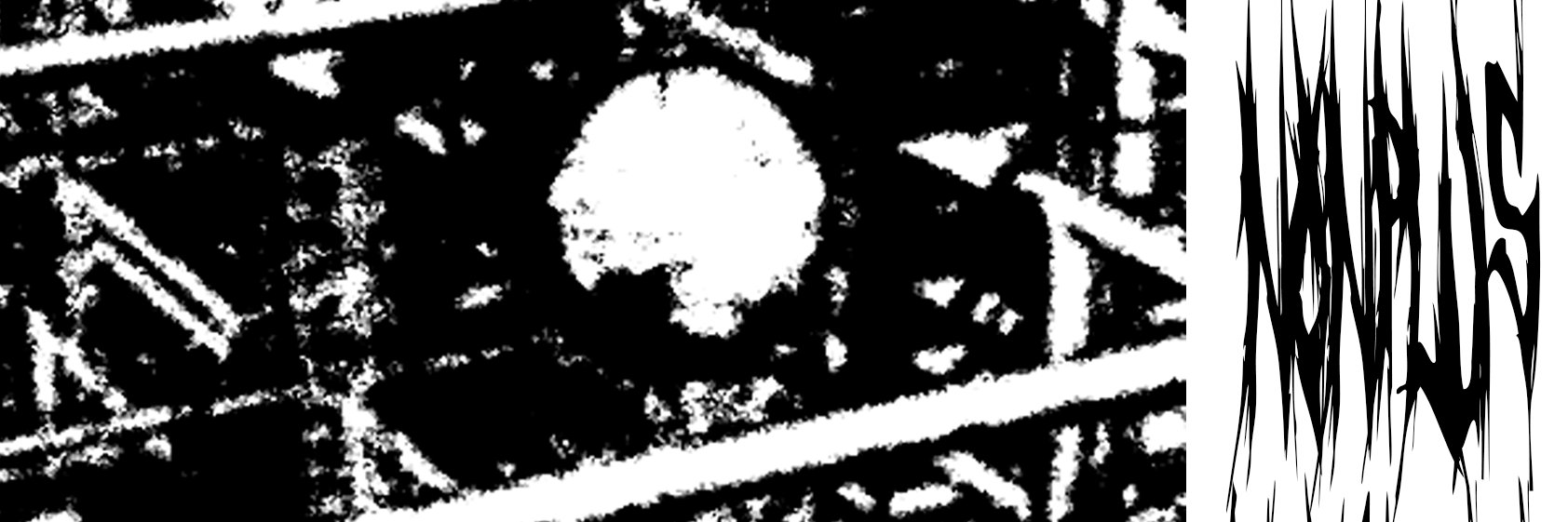 Lewis banner
