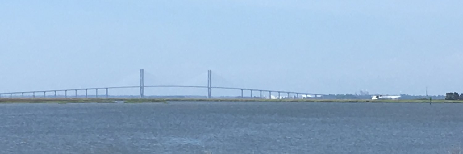 Jane Fedorczyk, PT, PhD, CHT banner