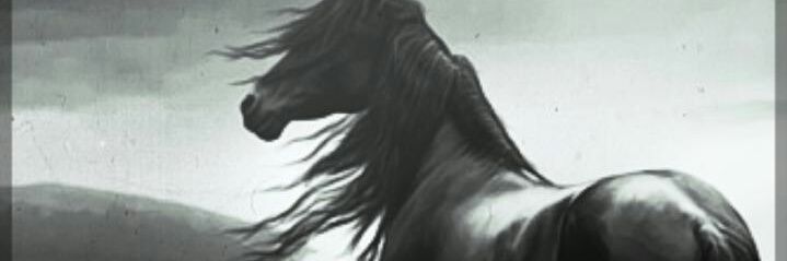 oroabinalward's profile banner image