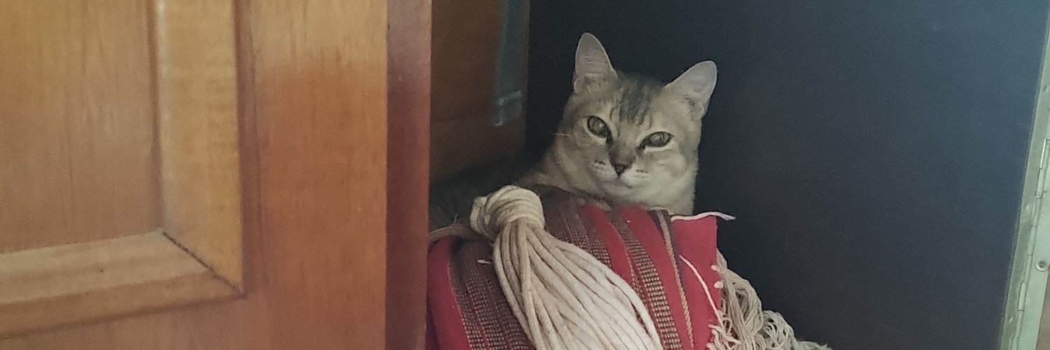 Luís 🔥⭐ banner