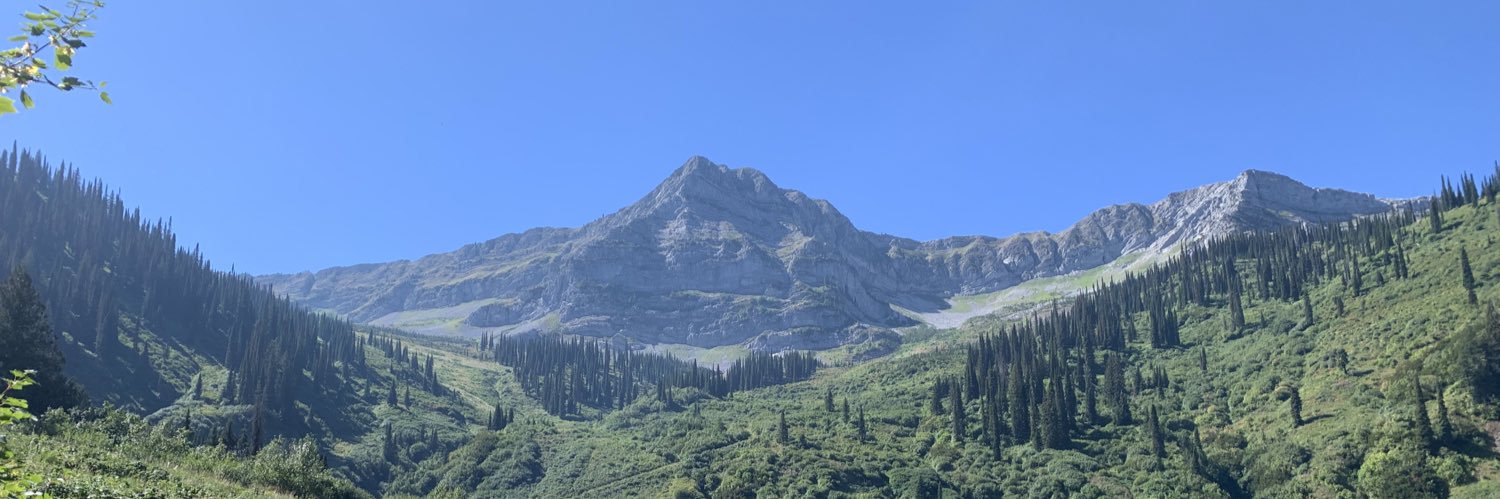 Halliwem's profile banner image