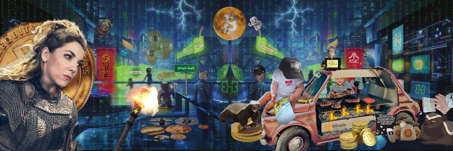 mir___btc's profile banner image