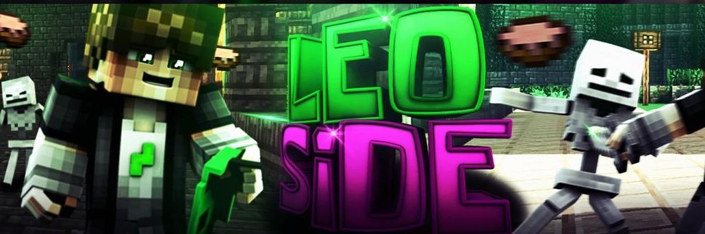 Leoside banner