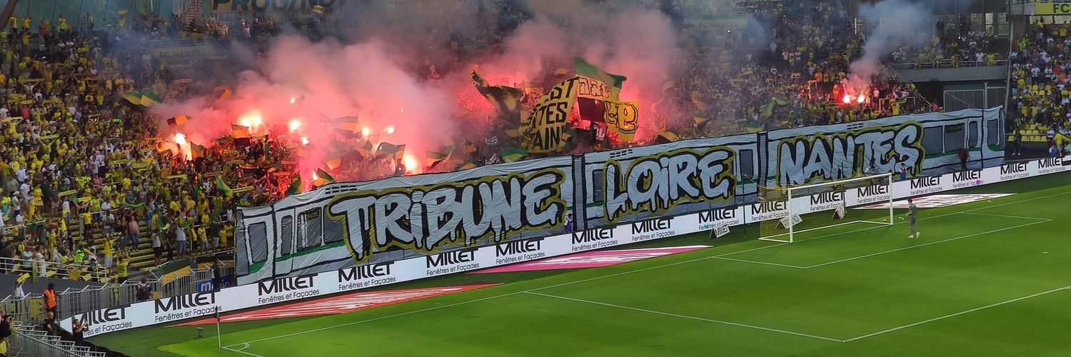 💛💚🌼Séverine🌼💛💚 banner