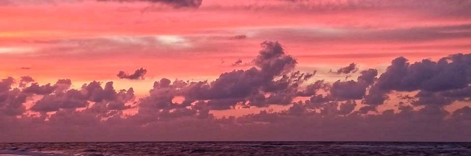 starrkk__'s profile banner image