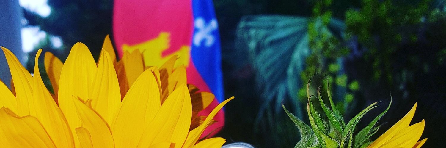 1launchscout's profile banner image