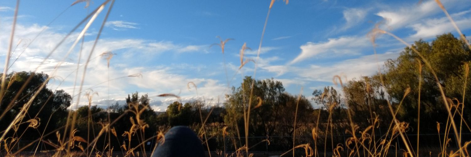 Zapiain98's profile banner image