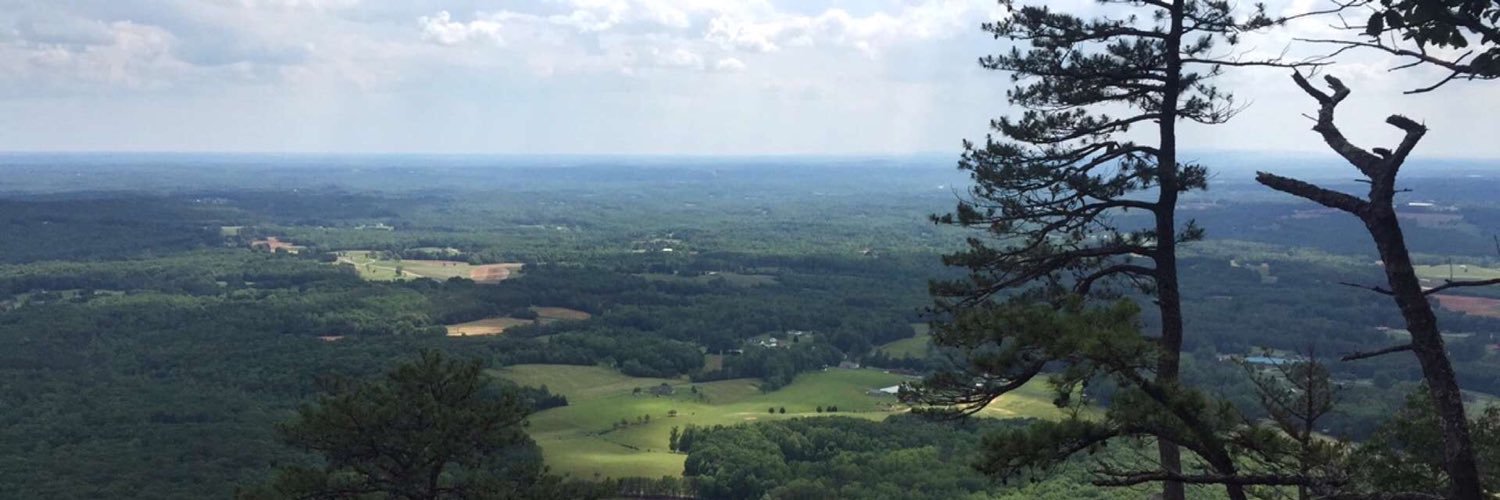 Dr. Casey F. Jeffreys banner