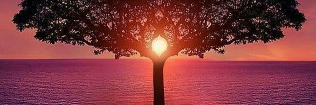 Camila banner