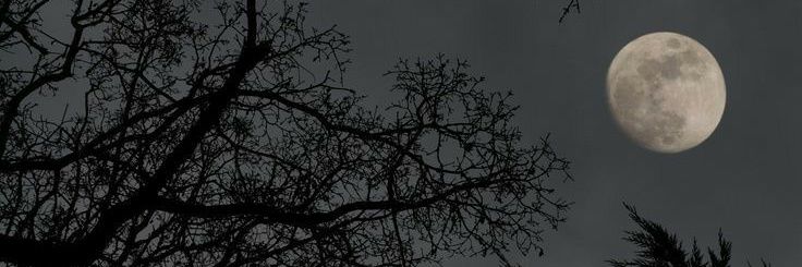 btobscoffee's profile banner image