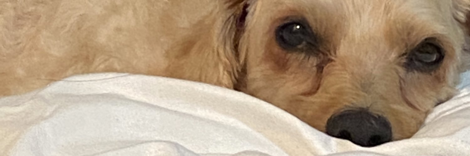 skrtt_tip's profile banner image