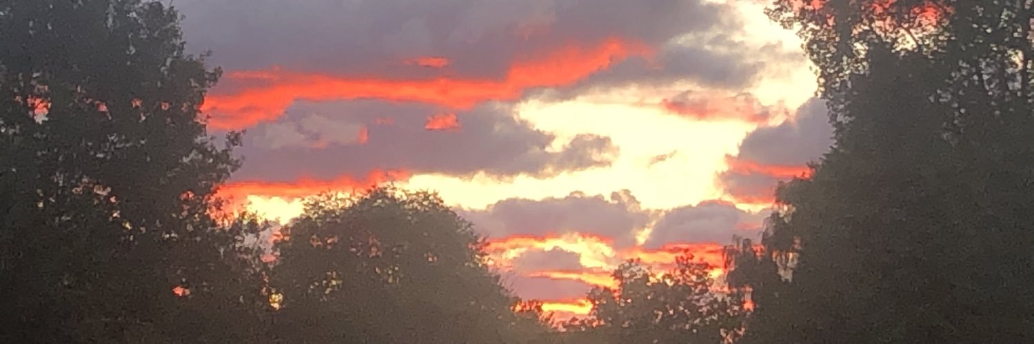 breich97's profile banner image