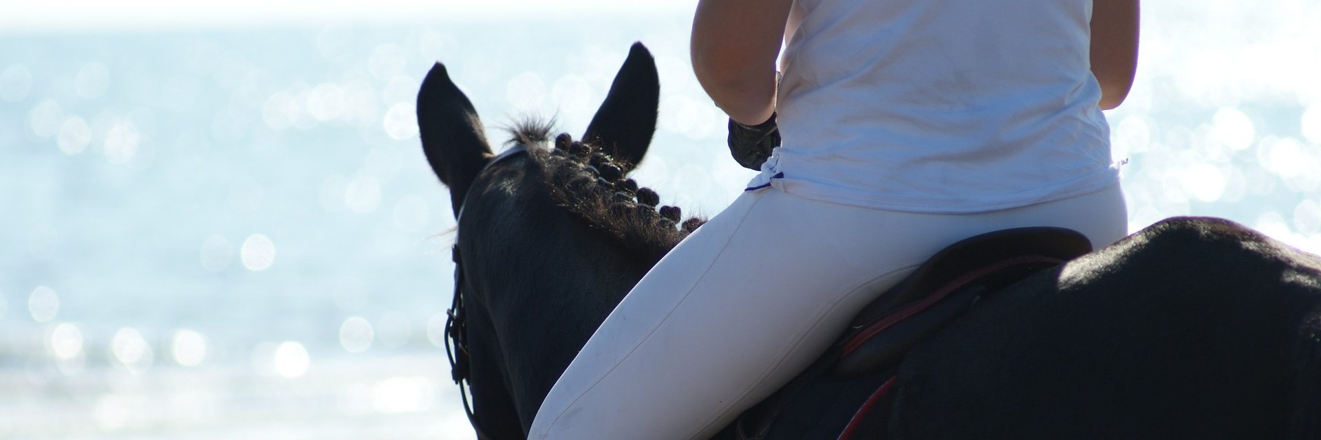 EquiFit_UK's profile banner image