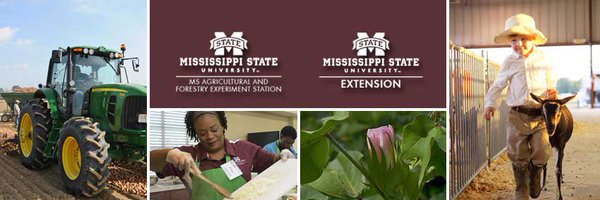 MSU_nmrec Profile Banner