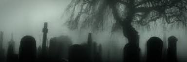 Kailey_Robinson's profile banner image