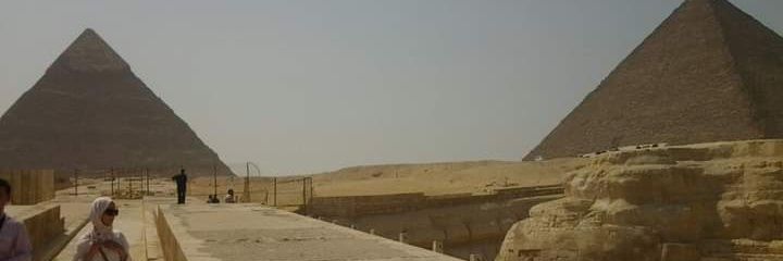 Irene Nemavhola banner