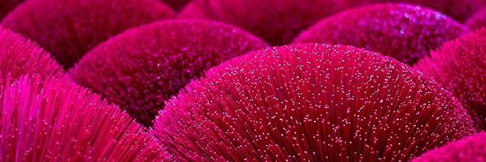 _Bioassay_'s profile banner image