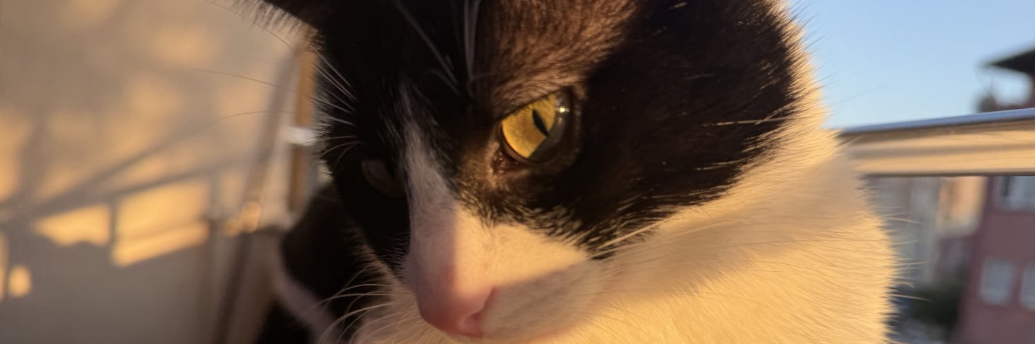 gizzemblythe's profile banner image