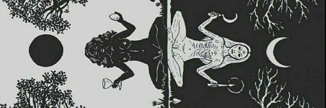 MandaCardoso1's profile banner image
