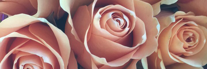 RachelBatson1's profile banner image