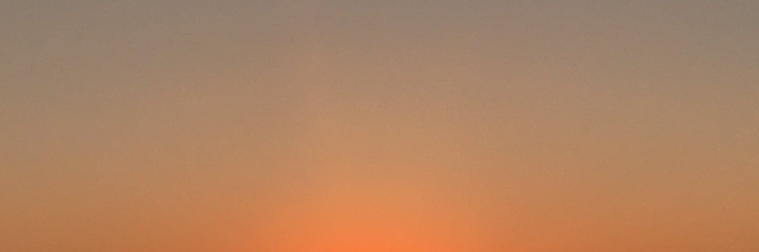Ann-Sophie Henne banner