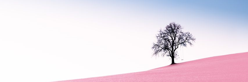 julia32963's profile banner image