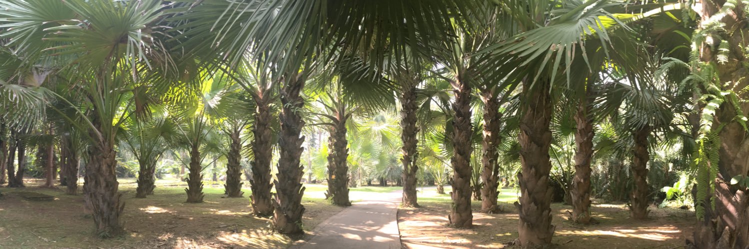 Michelena Mcpherson banner