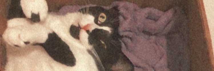 tayymachado_'s profile banner image