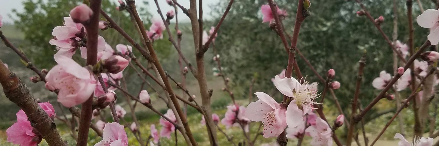 MmZaynab's profile banner image