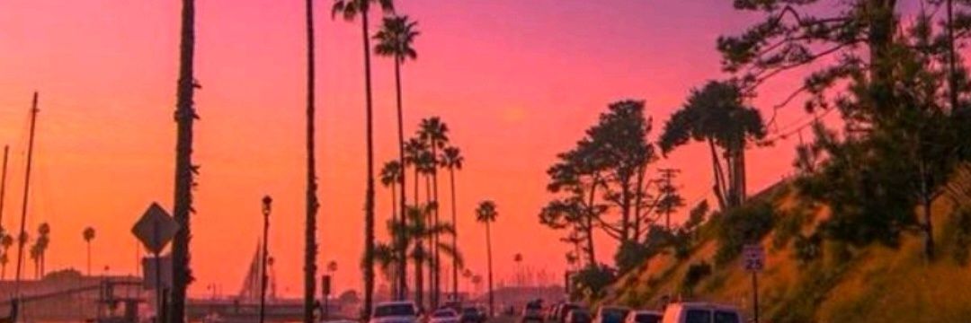 coco_navas's profile banner image