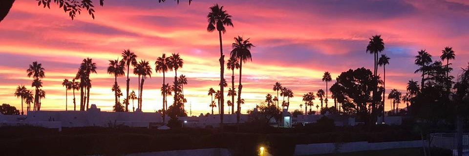 psavonlady's profile banner image
