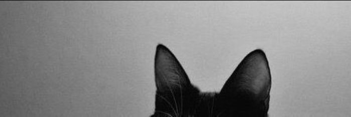 lcf307's profile banner image