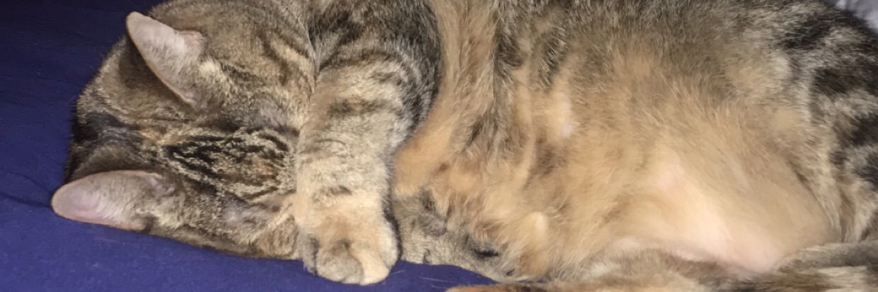 kittyhoule's profile banner image