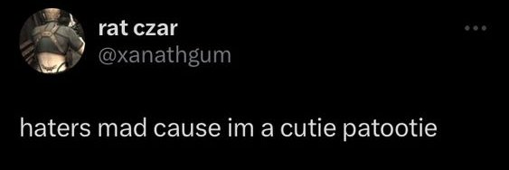 Katt 💗 | booktwt banner