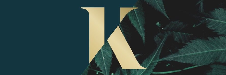 RealtorKaleigh's profile banner image