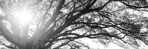 kelstath24 Profile Banner