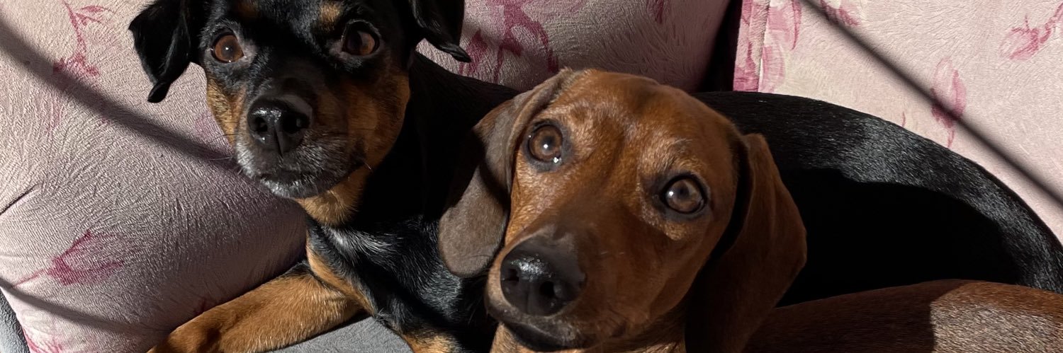 CamiiiFrank's profile banner image