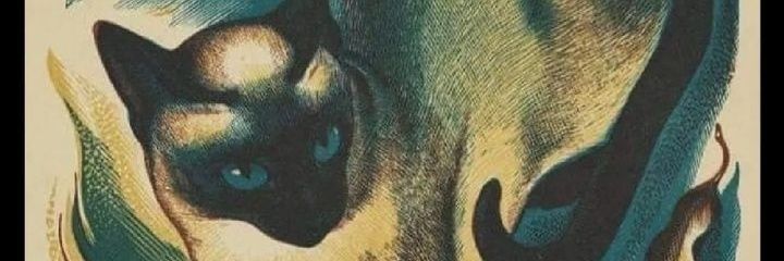 celez banner