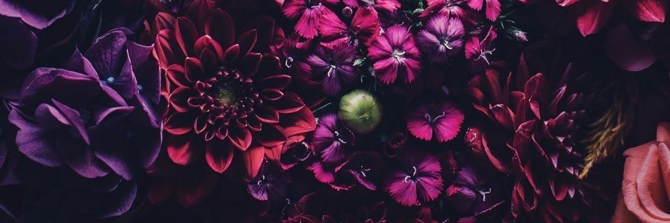 Amanda_Troya's profile banner image