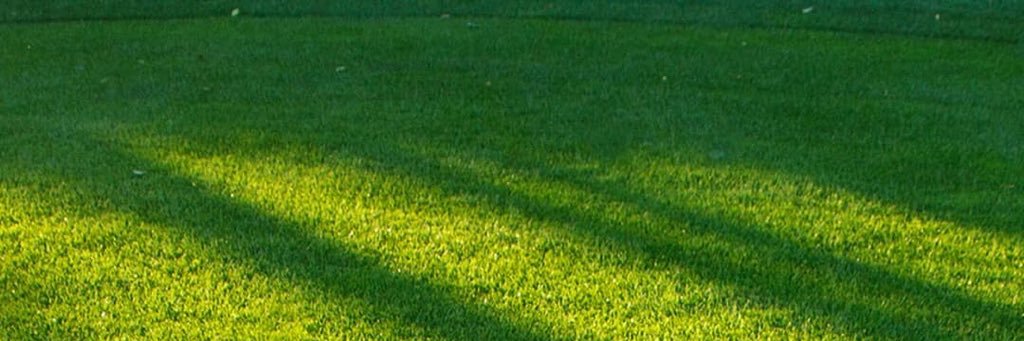 mathurnick's profile banner image