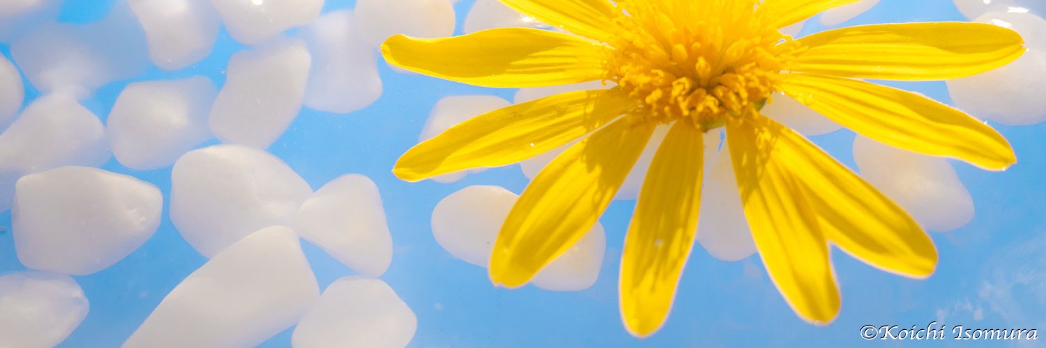 k_isopy's profile banner image