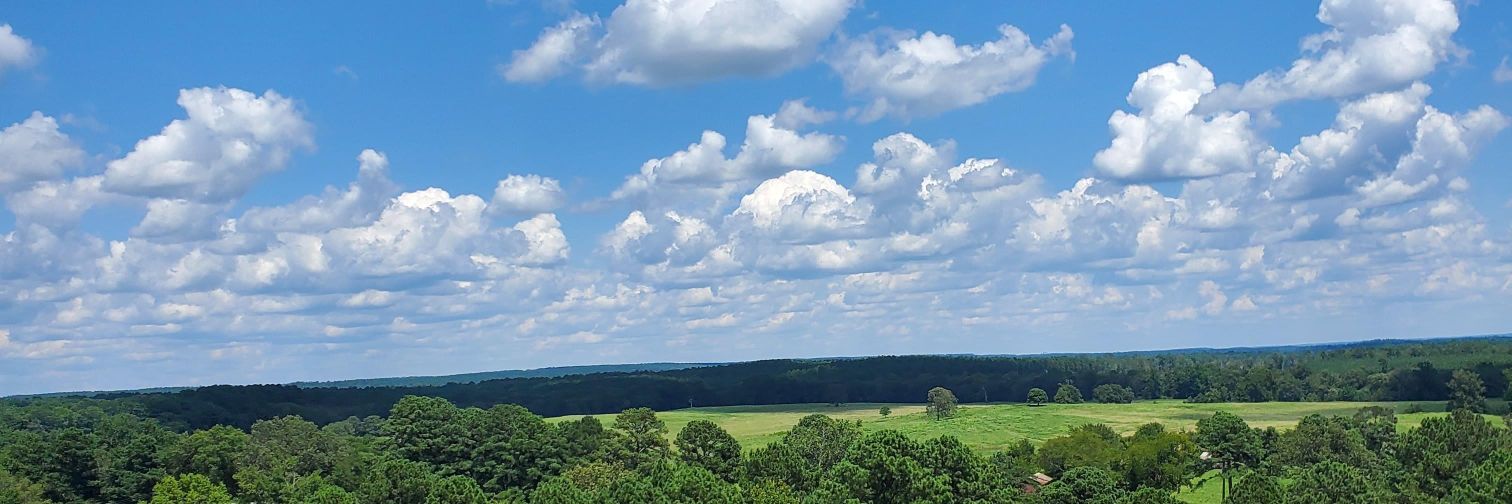 Tanya Jenkins banner