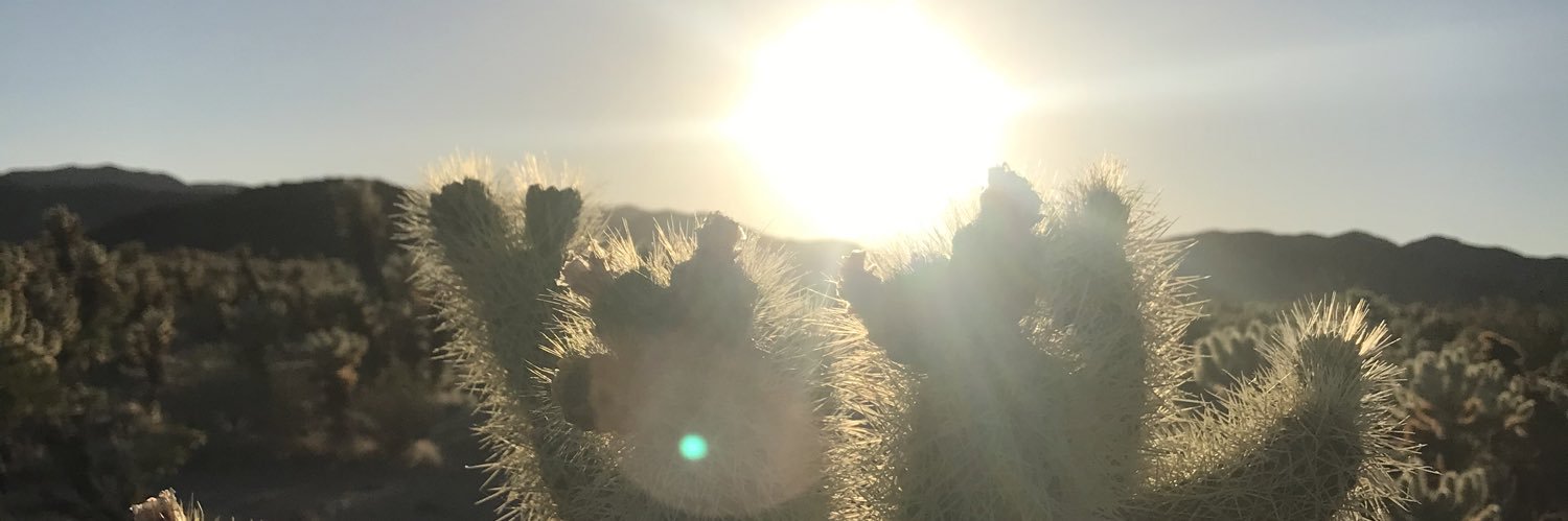 e_ram14's profile banner image