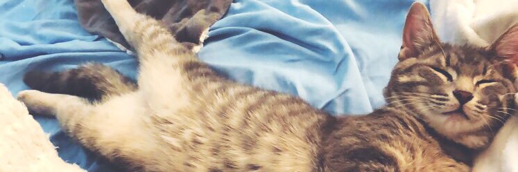 AyeeItsTay_'s profile banner image